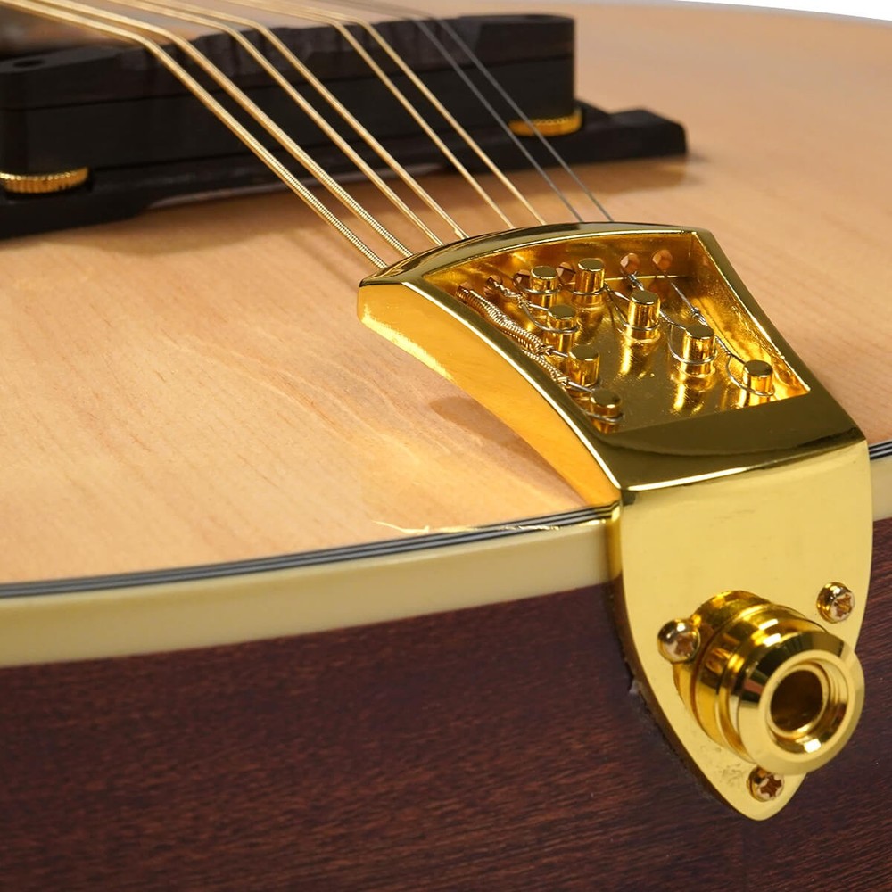 GOLD TONE OCTAVE MANDOLIN W/ HARD CASE