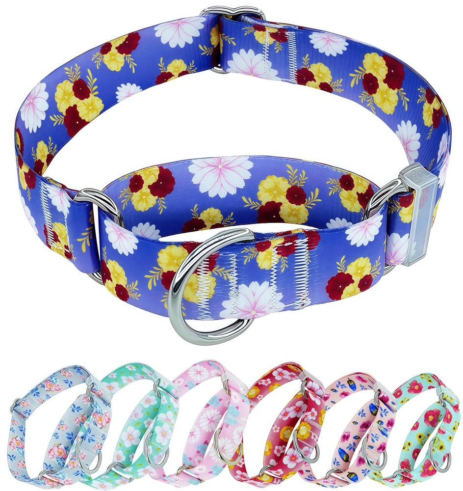 Martingale Dog Collar, Adjustable Soft No Pull Training Collar with No Buckle...