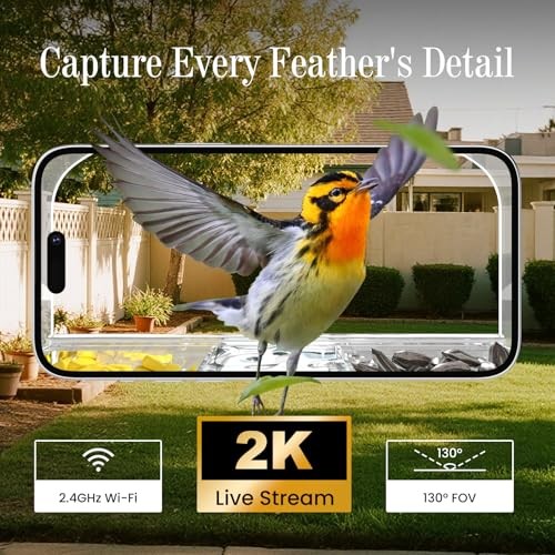Smart Window Bird Feeder Camera with AI, Modern Design for Panoramic Clear