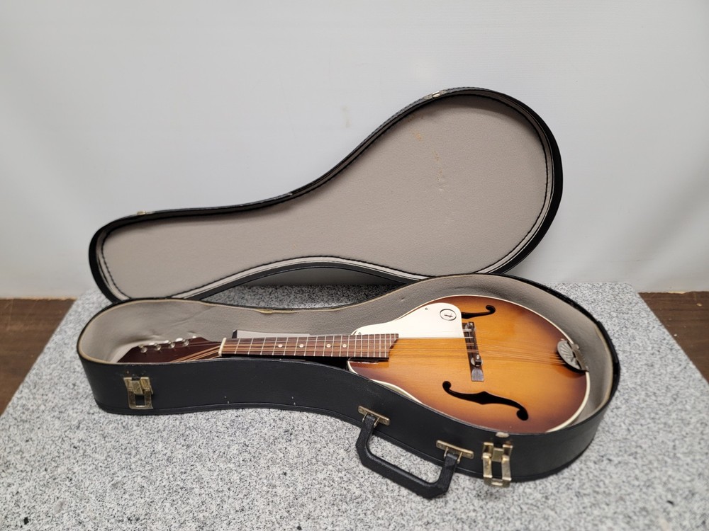 Vintage Kay Mandolin 8-String(Missing One) N7?