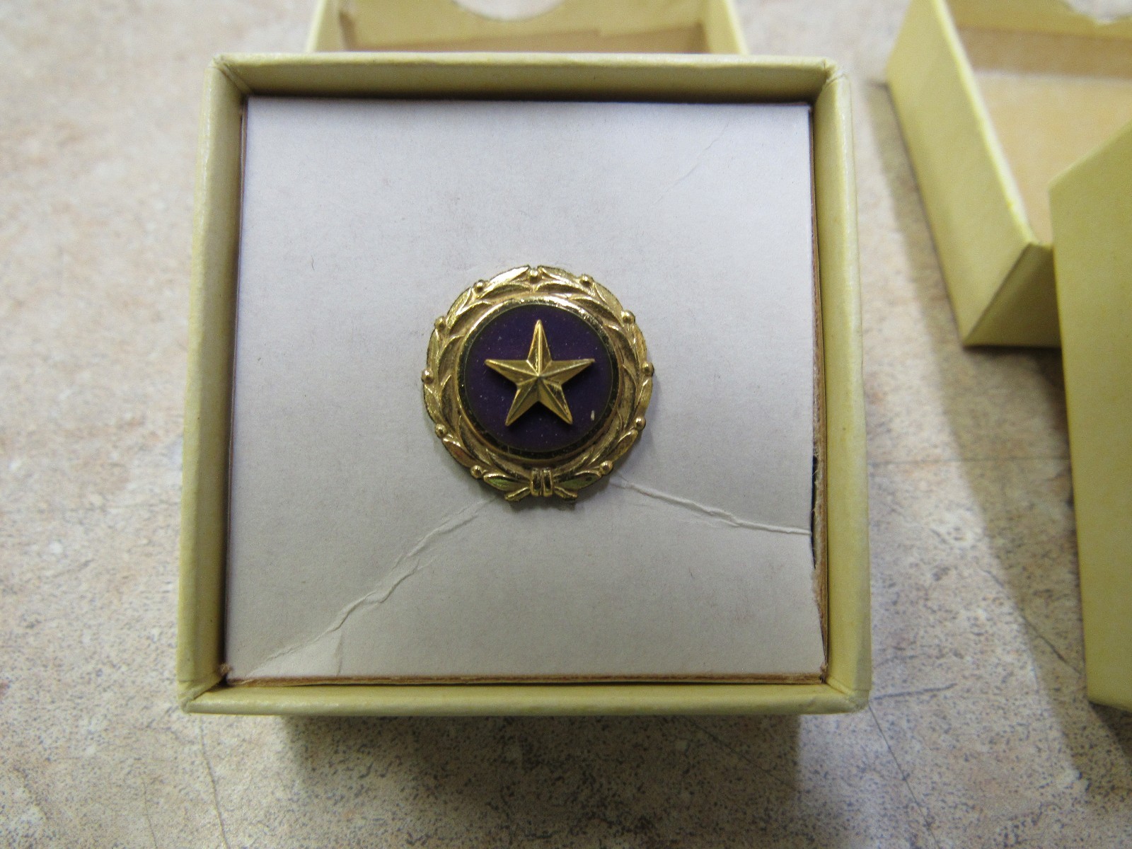 Original Gold Star Mothers US Military Lapel Pin Button 1947 ACT of Congress NOS