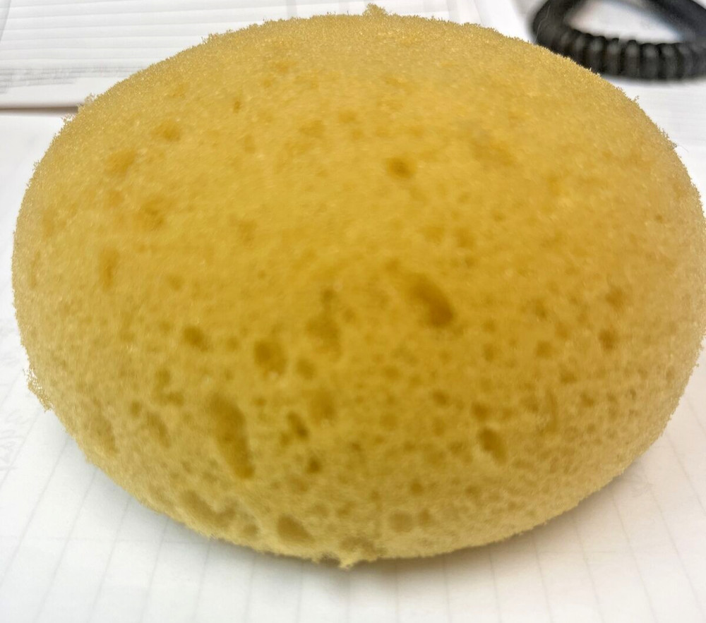Borghese Fango  Sponge  large See notes