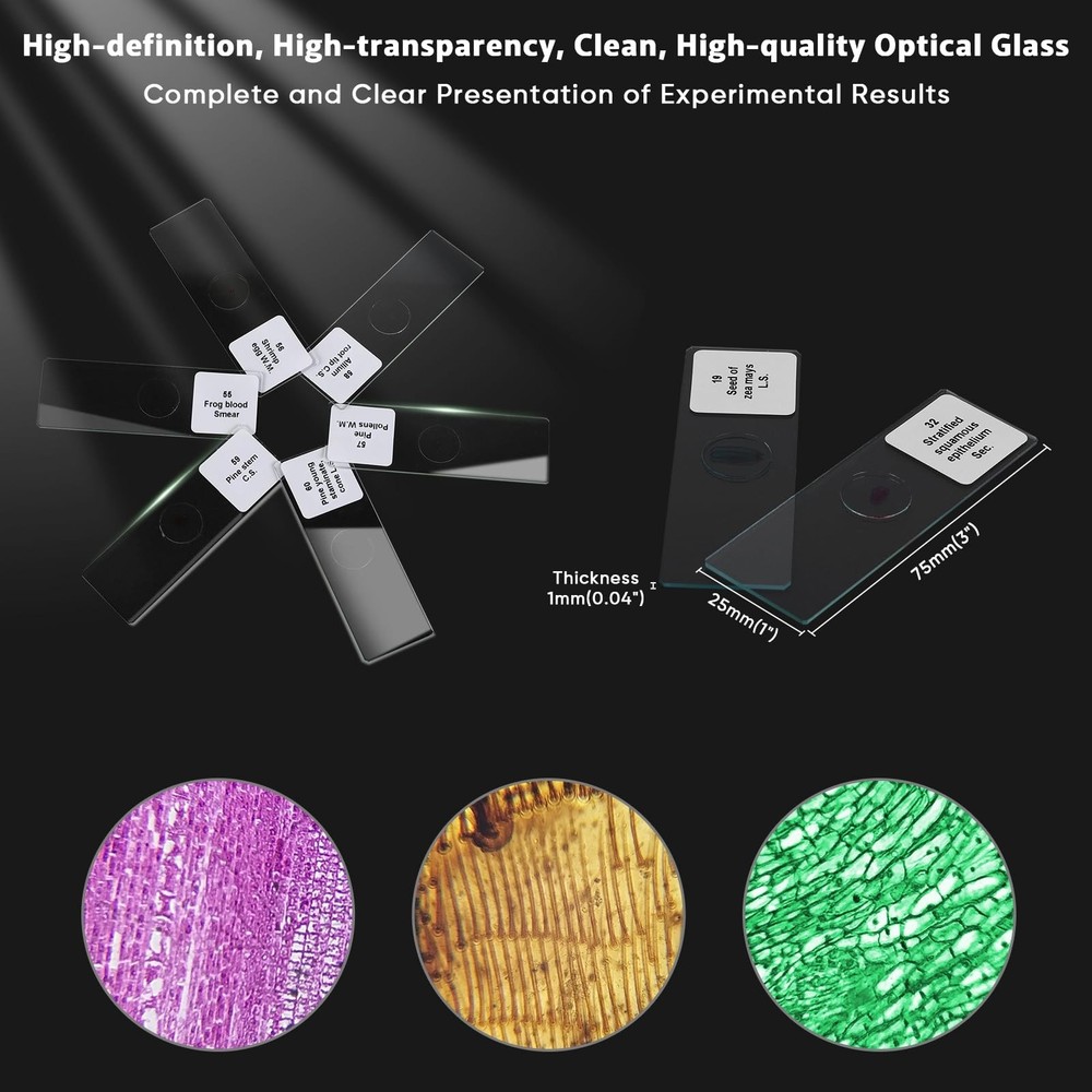 60 Microscope Slides with Specimens,Prepared Microscope Slides for Kids,Glass...