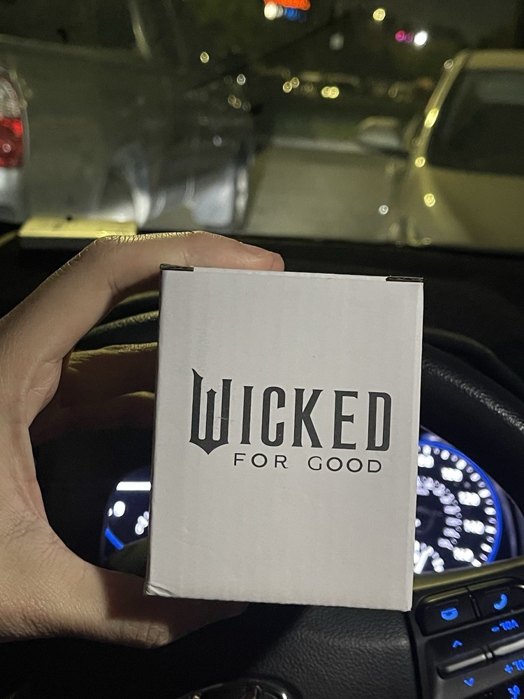 Wicked For Good Snowglobe Dolby Exclusive