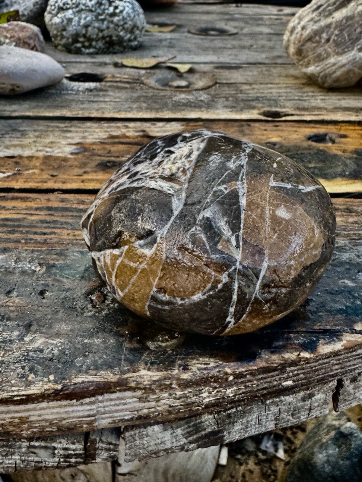 Rocks For Sale Beautiful Matrix Conglomeration Stone Rough Unpolished