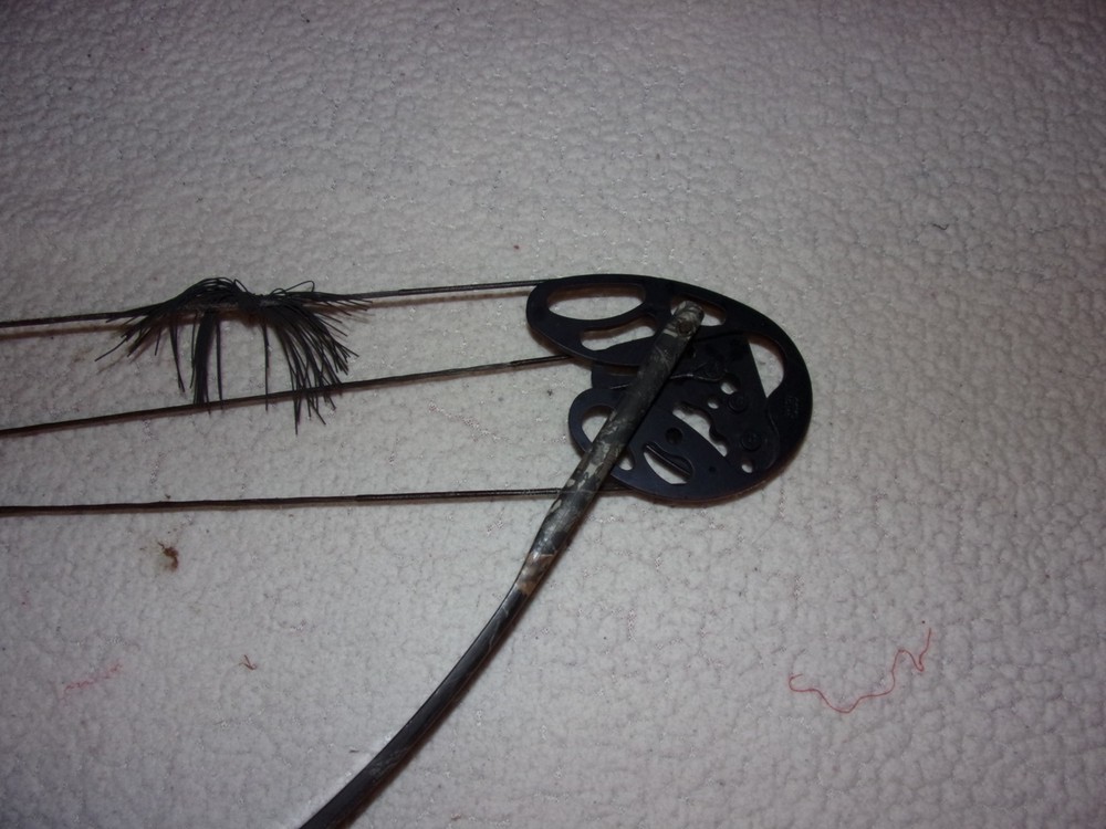 Browning Ambush Compound Bow