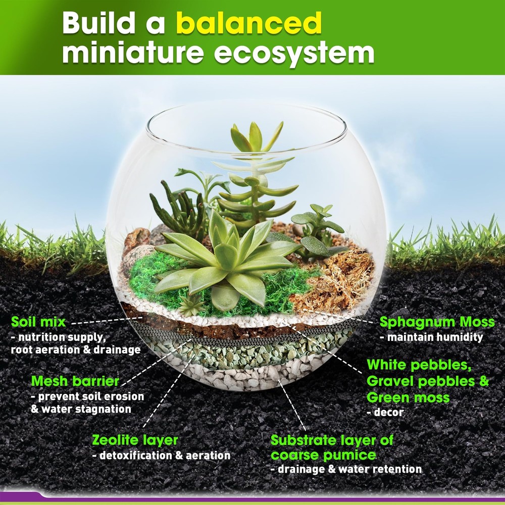DUSPRO Recycle Terrarium Kit, Include Potting Soil, Pumice, Medium, Soil