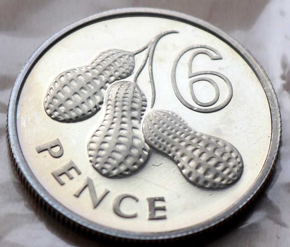 1966 Gambia 6 Pence Peanuts Proof