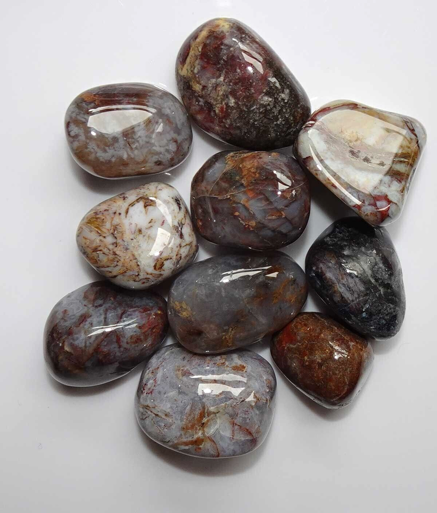 Pietersite - 10 Tumbled Stones rt448t