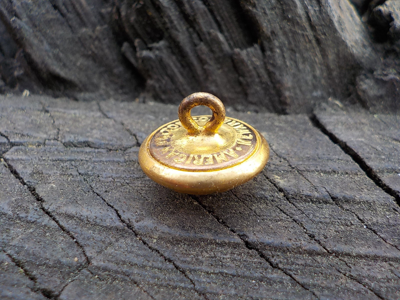 Old Rare Vintage Antique War Relic Wisconsin State Seal Vest Button Free Case