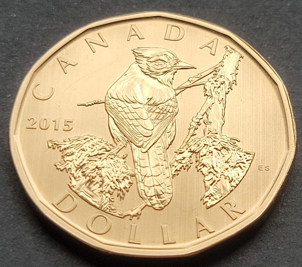 ***  CANADA   LOONIE  2015  ***  SPECIMEN  ***  SPECIMEN  BLUE  JAY  ***