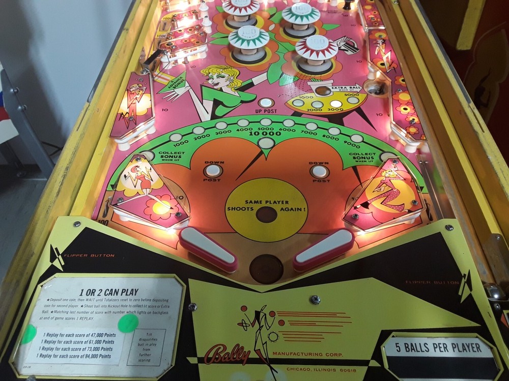 Zip-A-Doo Pinball Machine by Bally