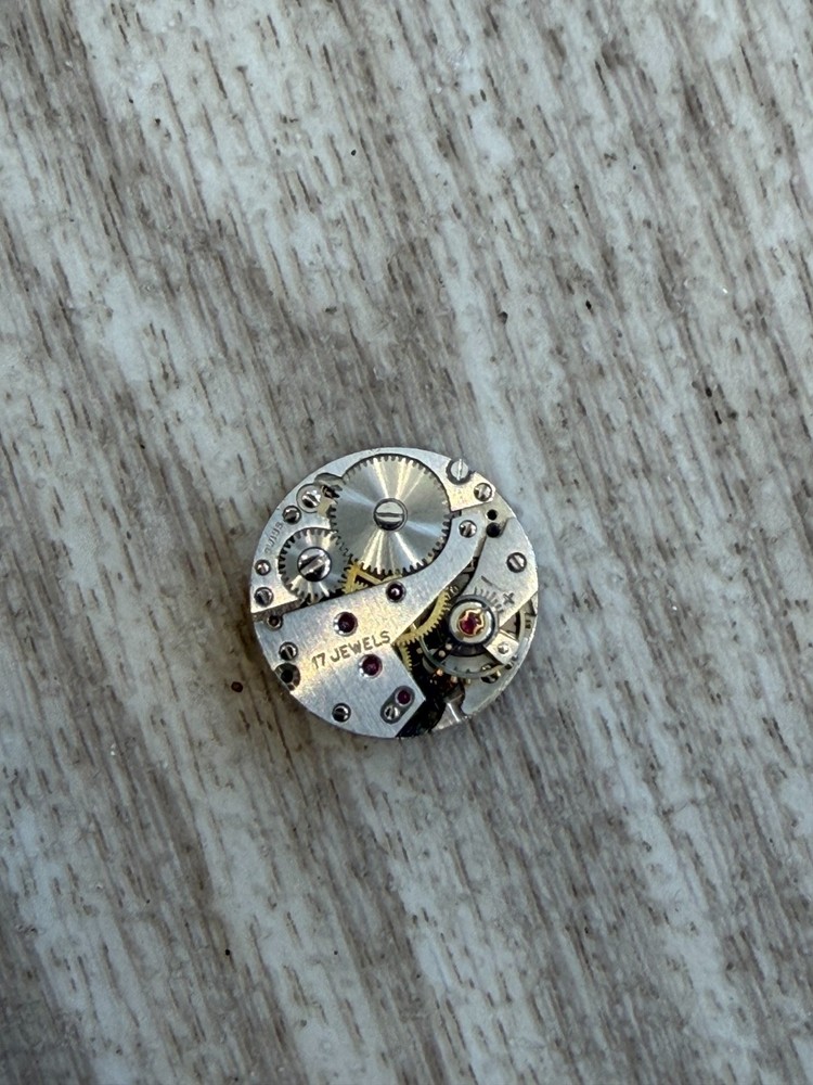Levicta Watch Movement