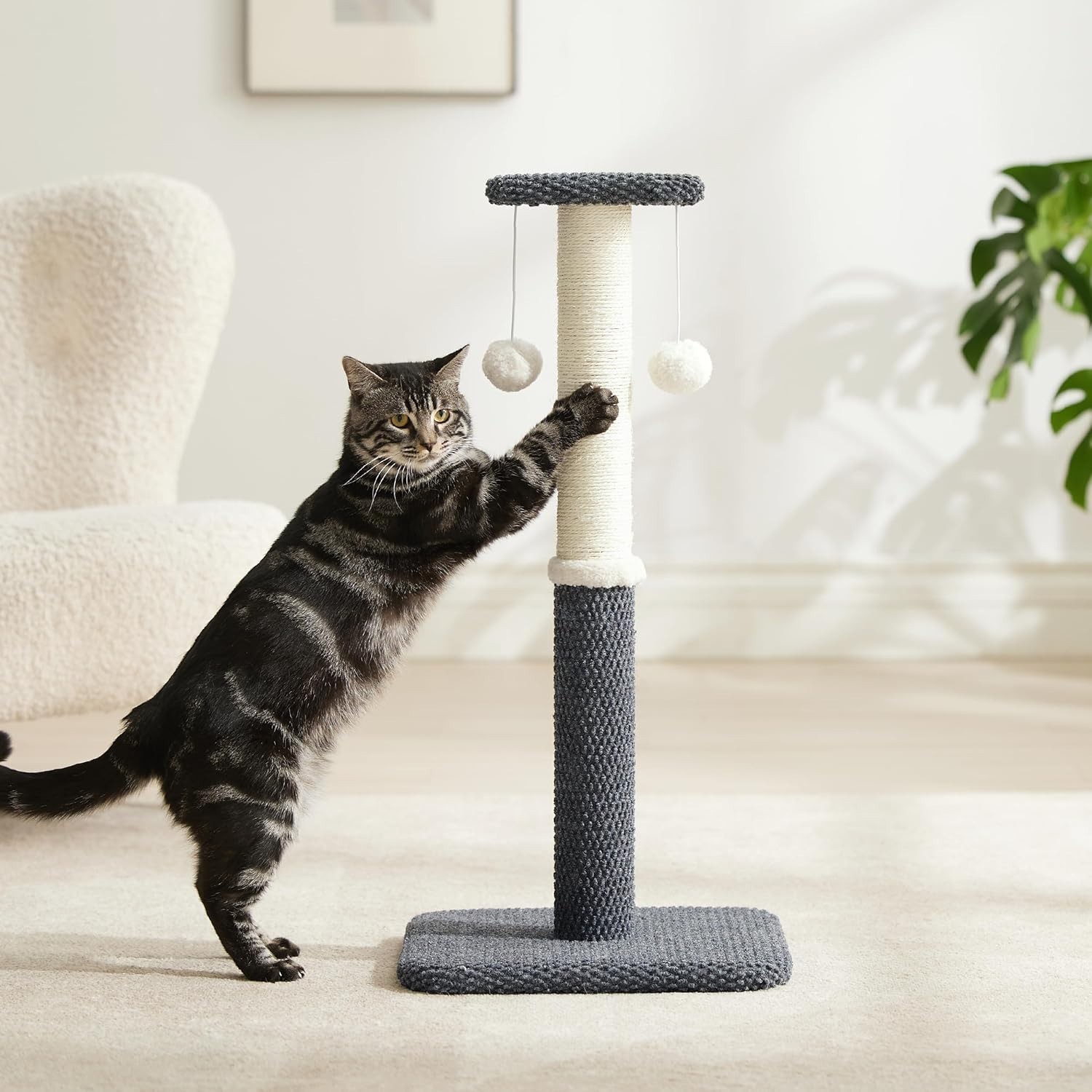 Cat Scratching Post for Indoor Cats - 29in Highly Resistant Carpet Scratch Poles