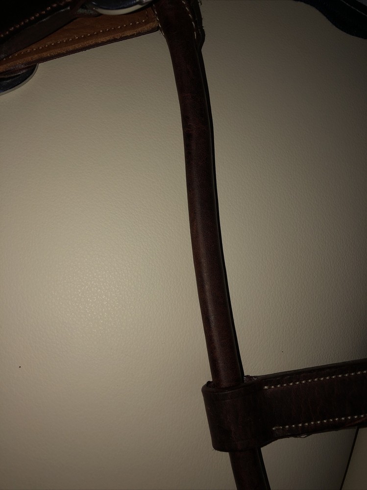 Antares Elastic Stressless Halter Horse Size 2