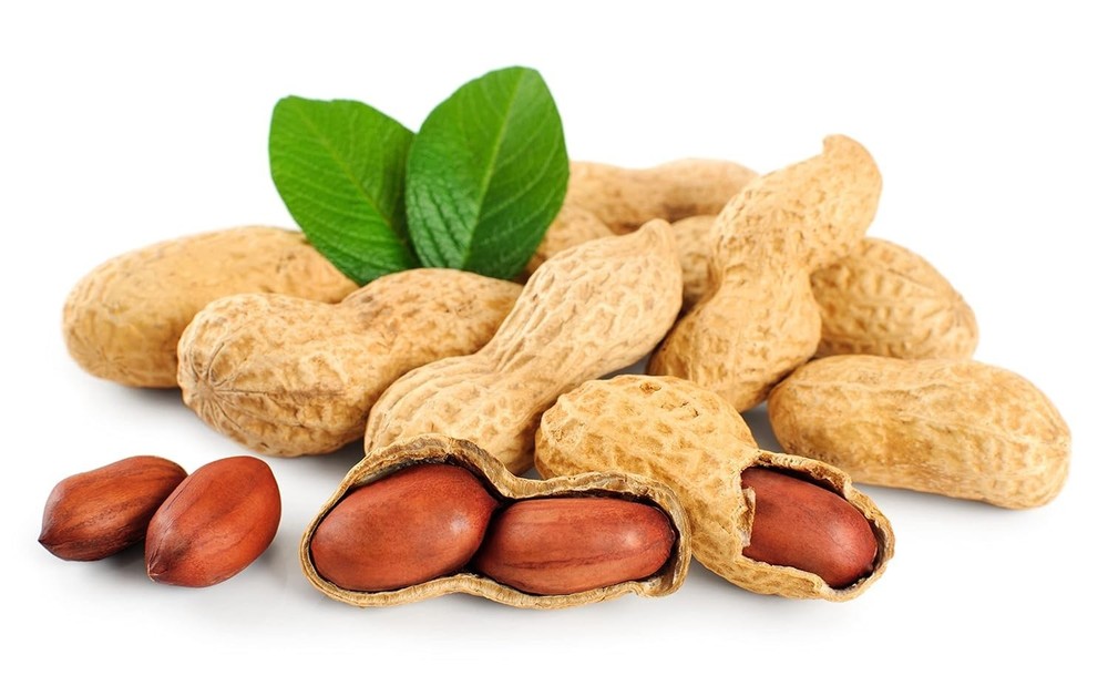 Fruidles Raw Peanuts, Raw Peanuts in Shell, Great for Boiling Squirrels Feed 2LB
