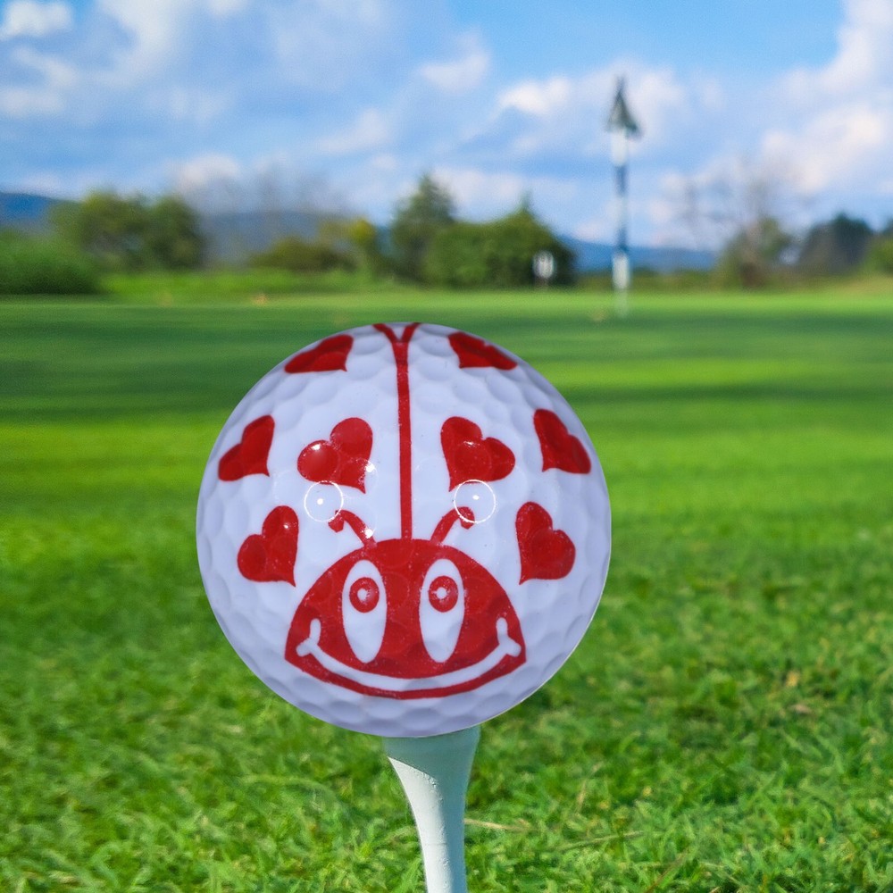 Luv Bug 6 Pack - Perfect Gift Idea!