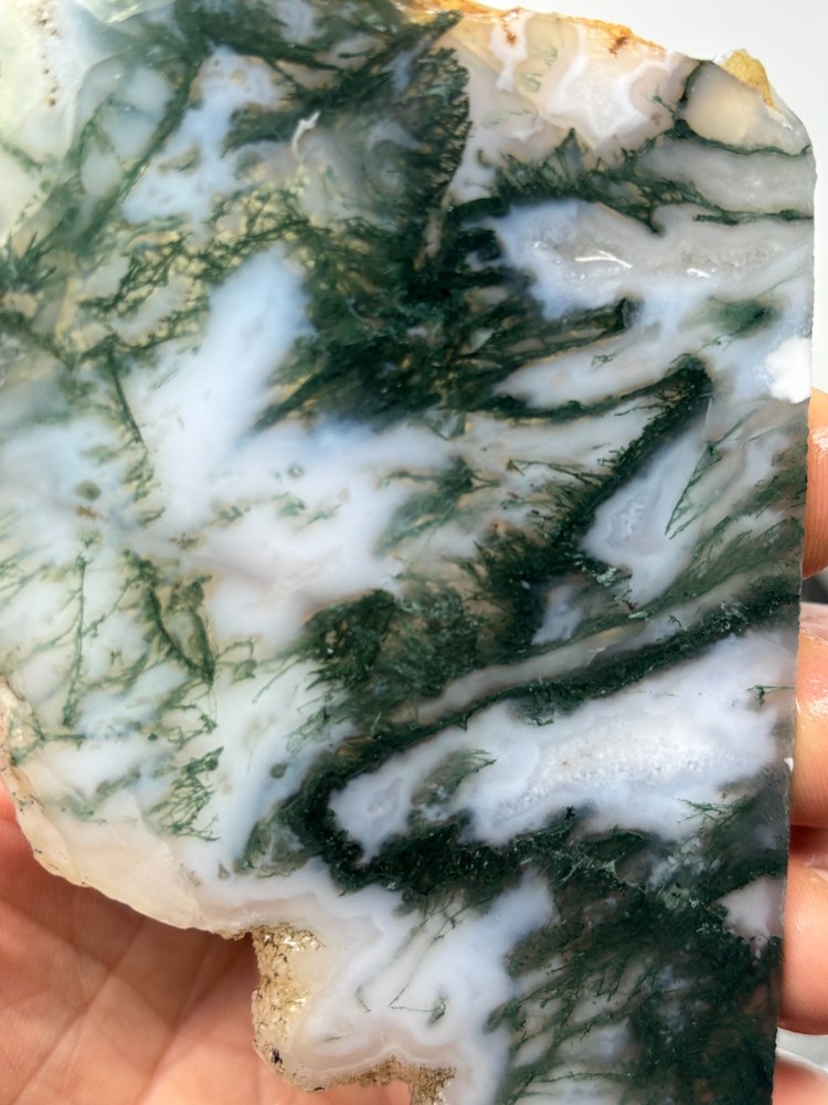 Thin Semi-translucent Moss Agate Slab Cabbing Lapidary Carving Combo Ship Avail