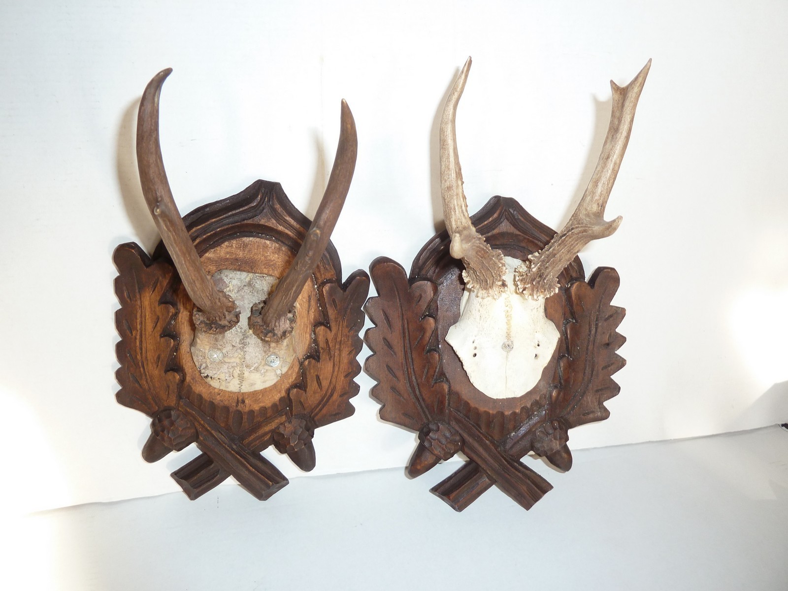 PAIR BLACK FOREST CARVED ROE DEER ANTLERS MOUNTS