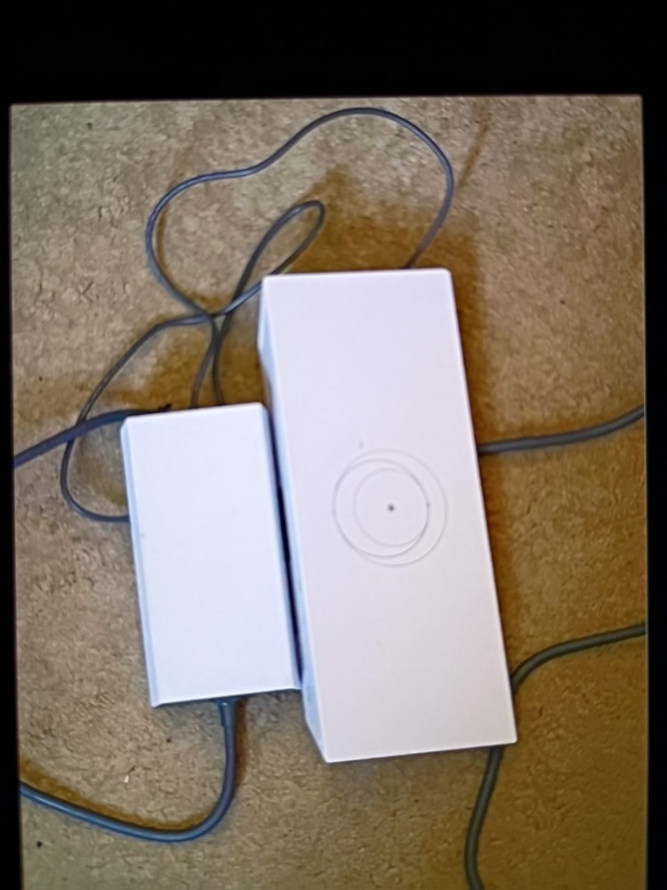 Starlink Wifi