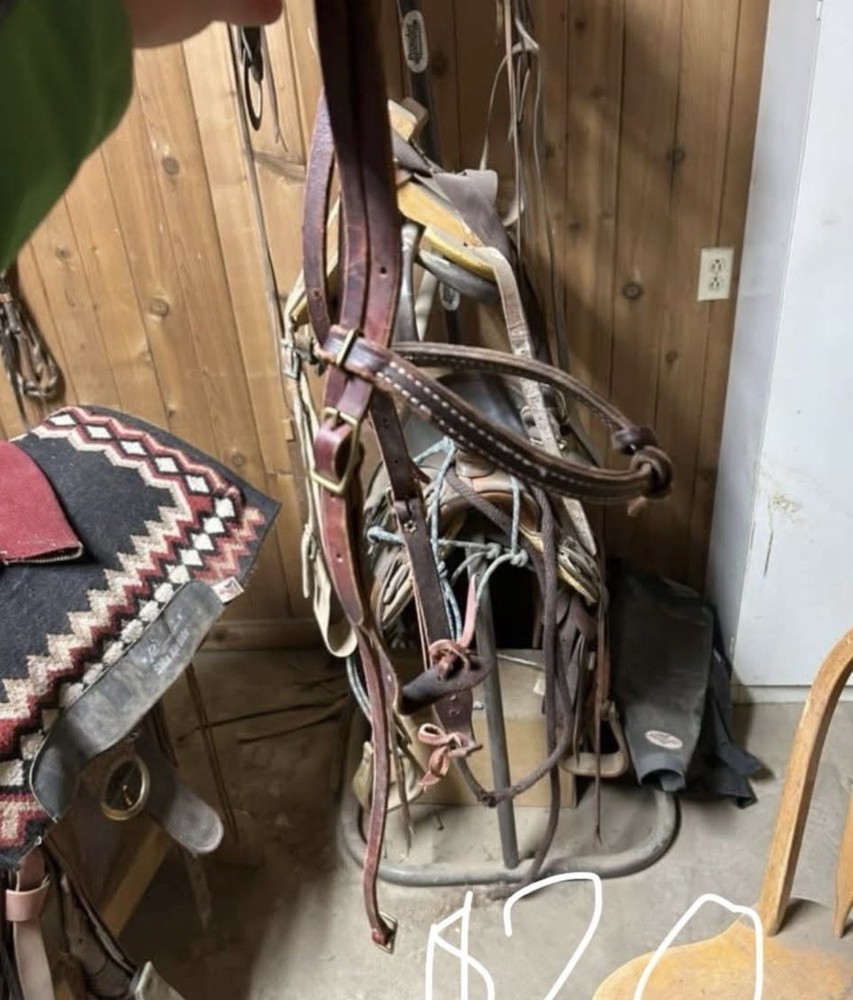 Custom made breast collar and headstall