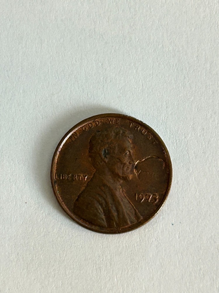 1973 Lincoln Penny No Mint Mark "buffalo?" Error