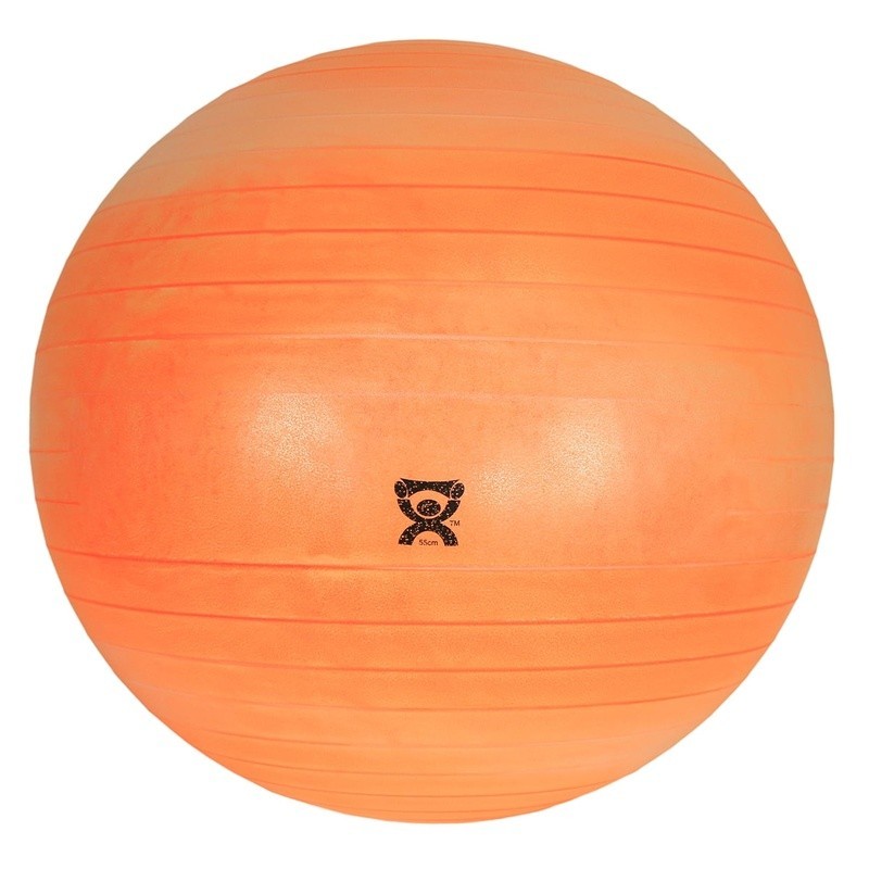 Deluxe ABS Inflatable Exercise Ball Balance Coordination Strength Training New