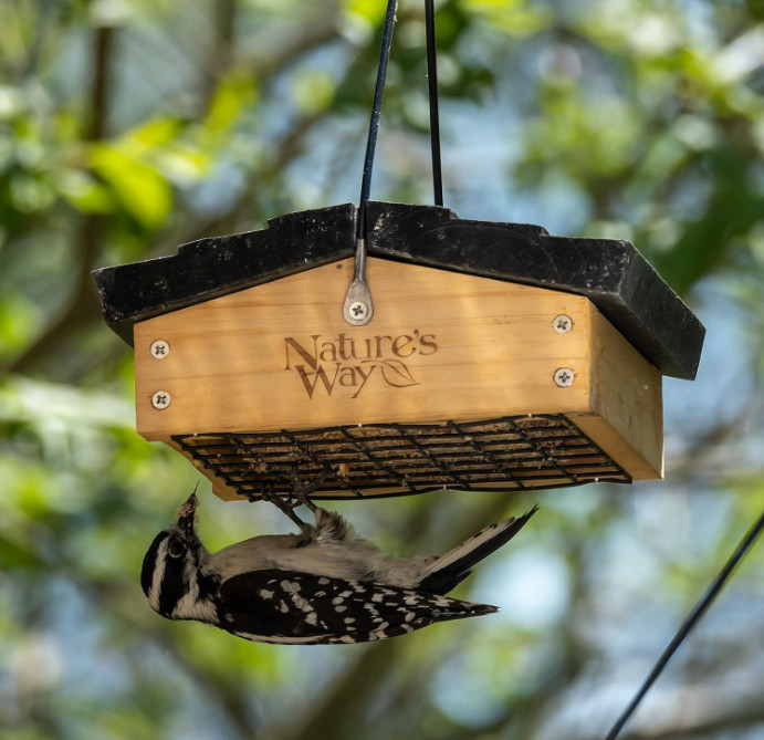 CWF2 Cedar Suet Upside-Down Bird Feeder, Black