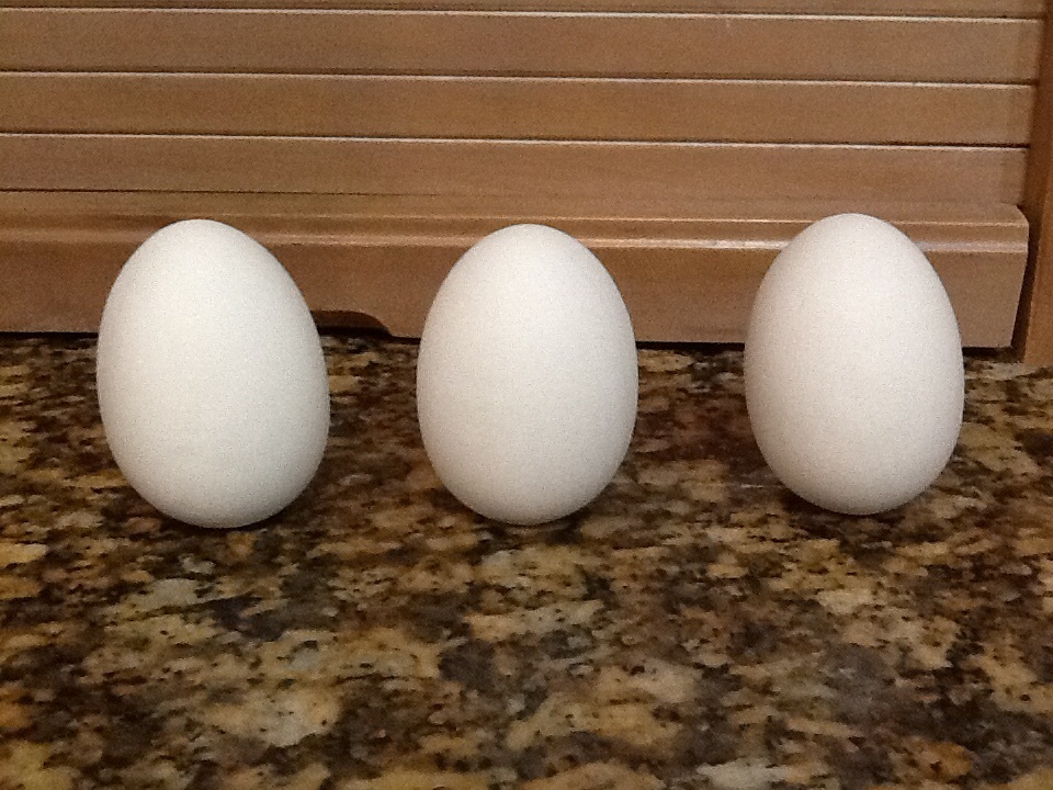 3 eggs Ready to Paint, Unpainted, U Paint Ceramic Bisque Plain Easter Eggs