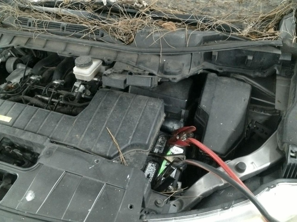 Stabilizer Bar Front Fits 11-17 QUEST 104865180