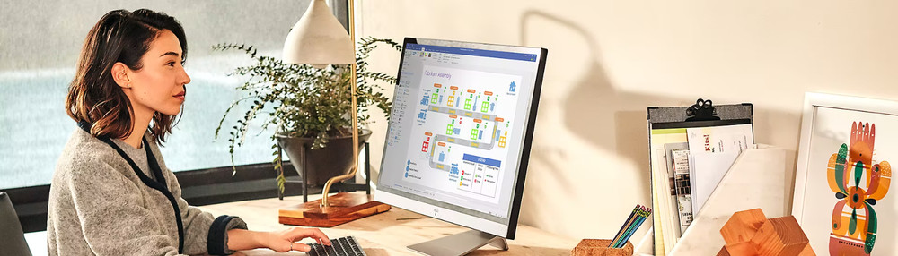 Microsoft Visio Professional 2024 for Windows