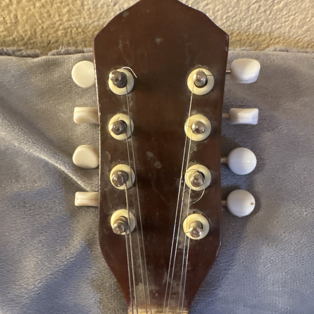 60’s70’s Norma Electric Mandolin