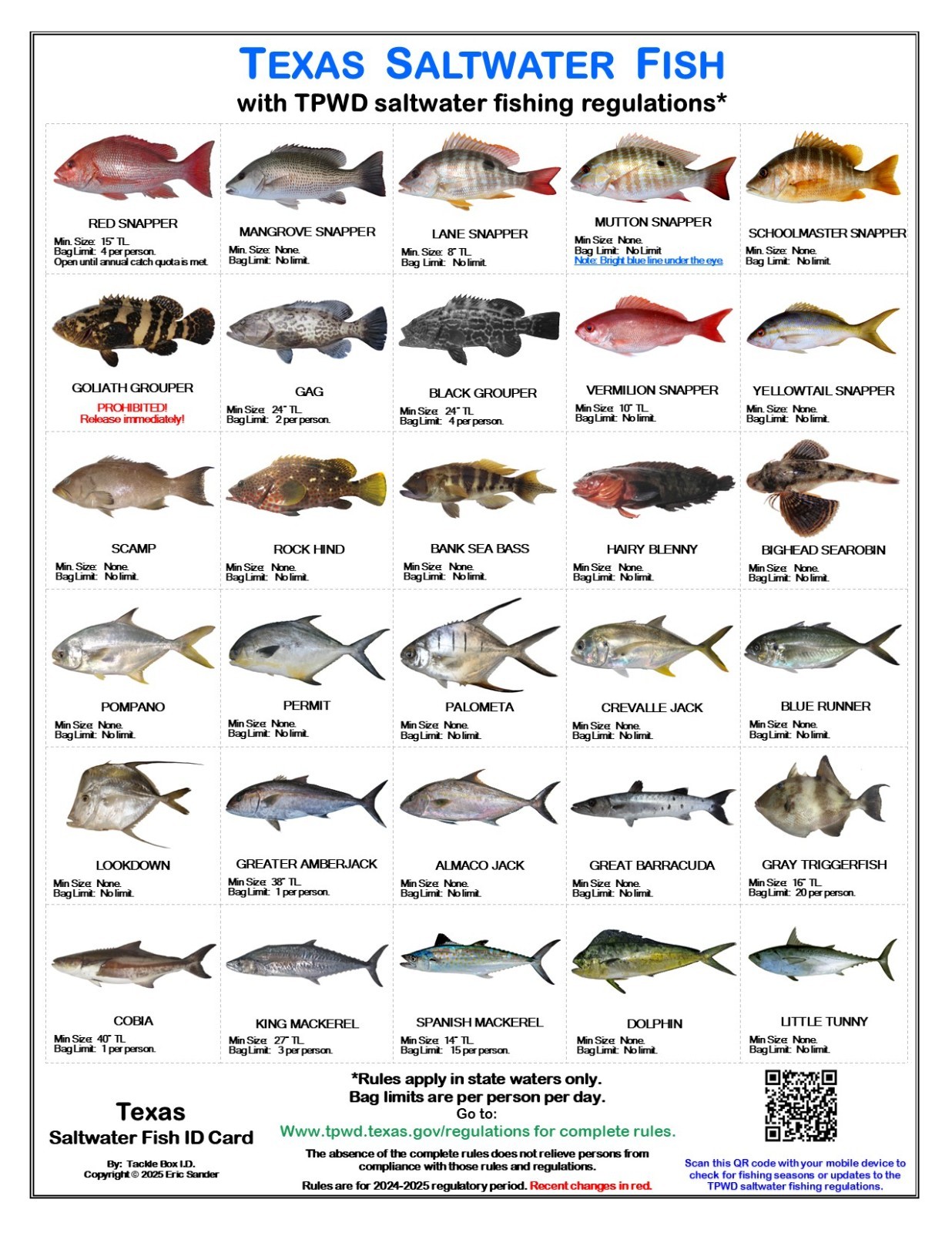 Saltwater Fish ID and Regulations Jumbo Card - Texas