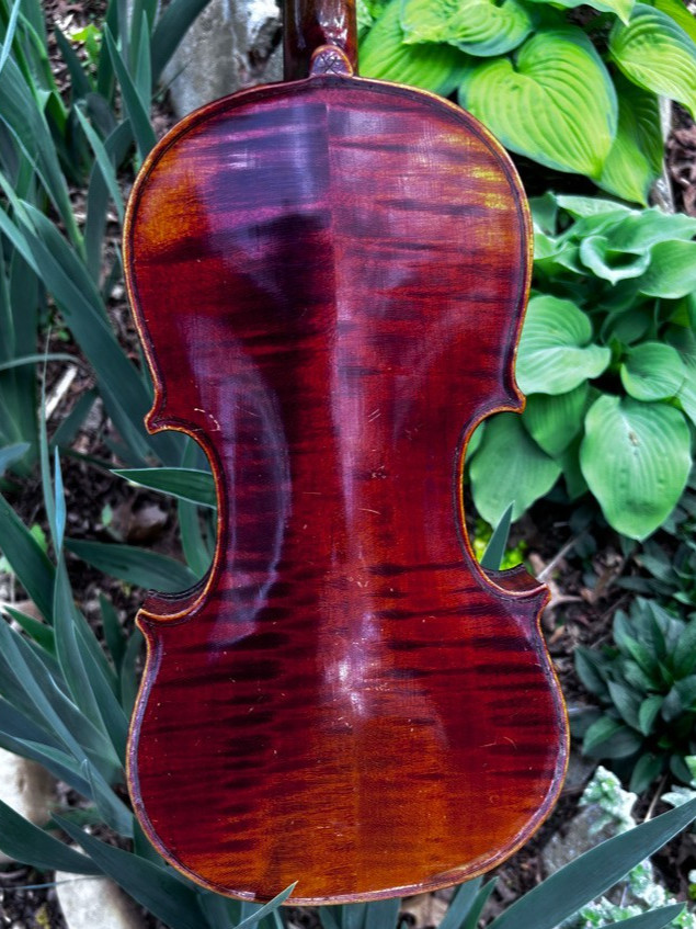 violin