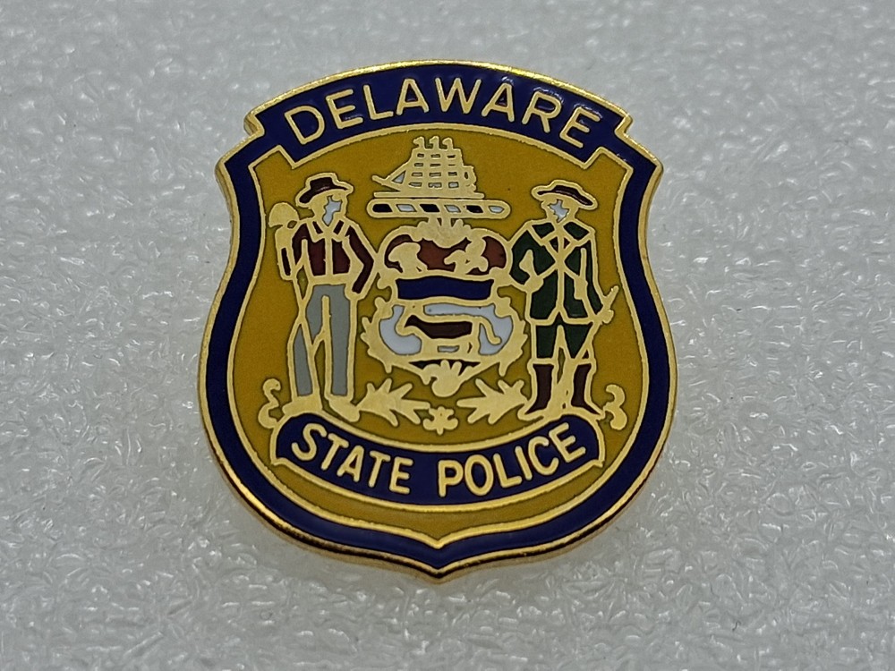 Delaware State Police Pin