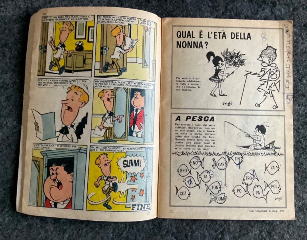 IL MONELLO