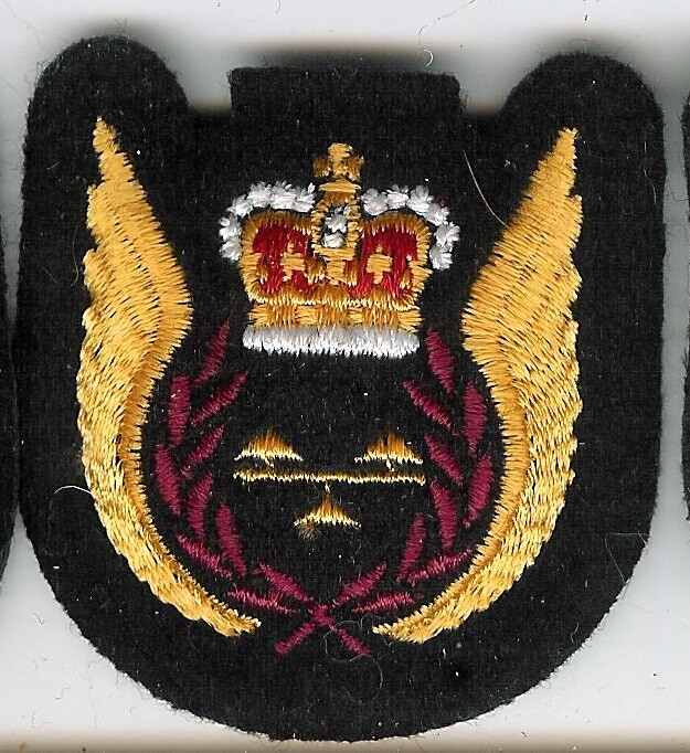 Obsolete Modern Canadian Forces Loadmaster Wing