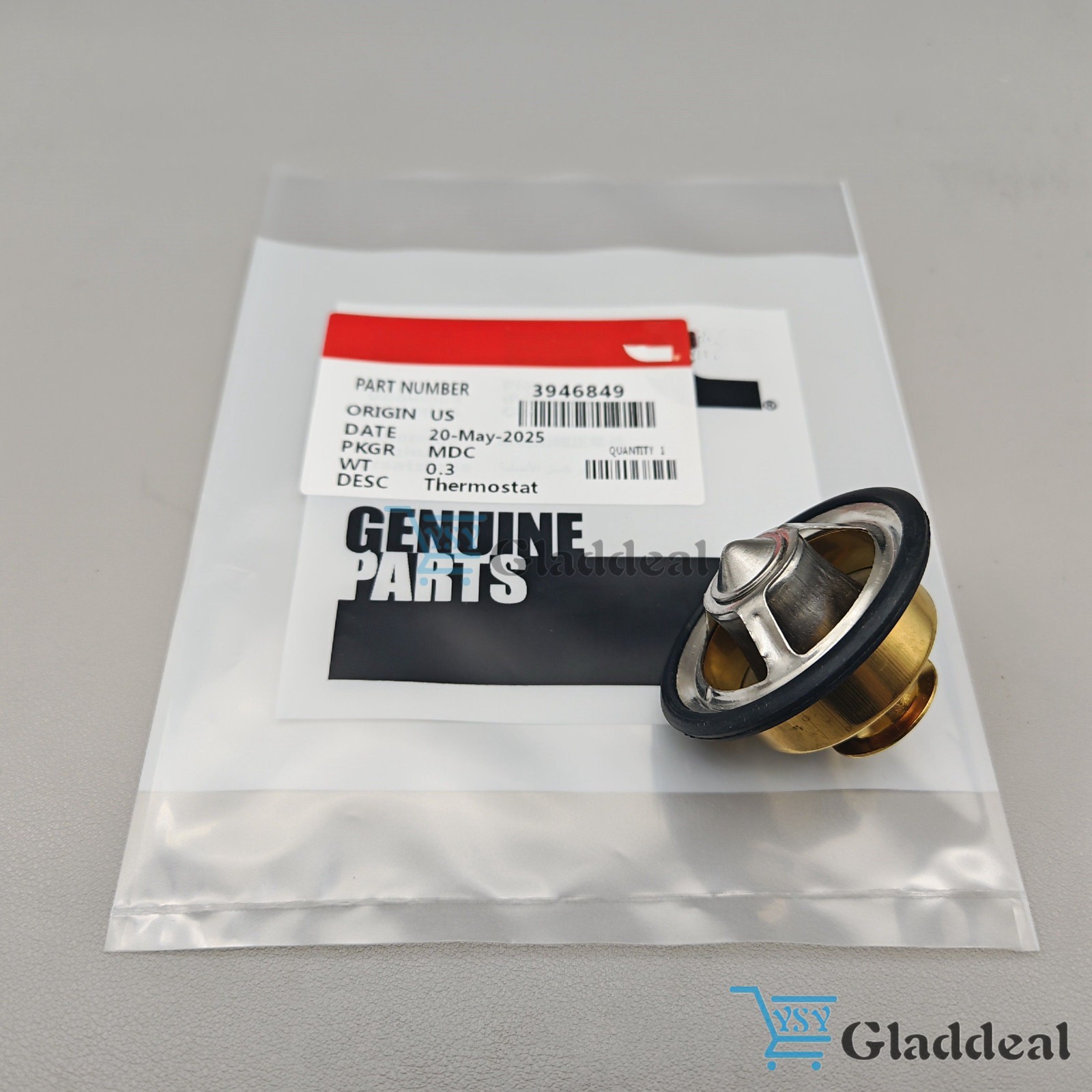 New Engine Coolant Thermostat Fits Cummins 3946849