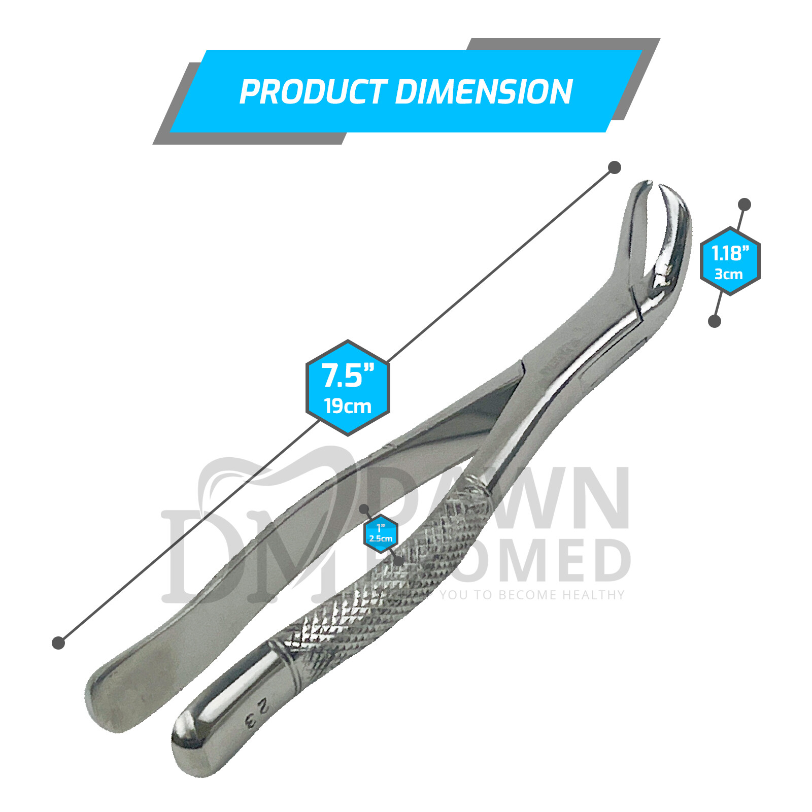 Dental Extracting Forceps #23 For lower molars Cow Horn Dental Surgical