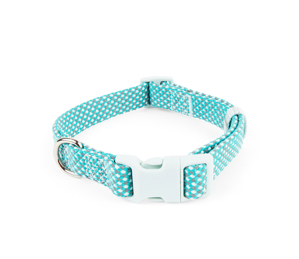 YOULY The Protector Teal Reflective Dog Collar, Small