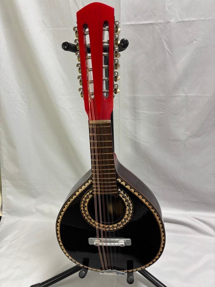 Oscar Schmidt Stella 12-string (1920s)