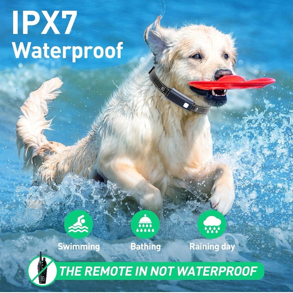 Remote Training Collar, Water Proof, & Rechargeable (READ DESCRIPTION) -B2