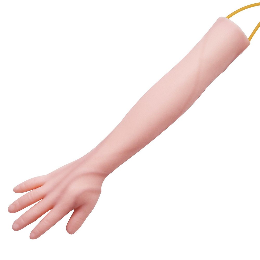 Intravenous Practice Kit with Anatomical Arm Model, Adjustable