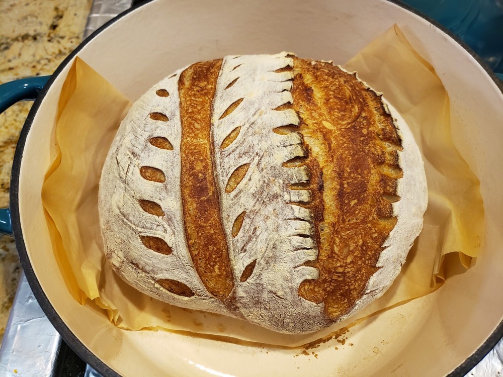 Organic DEHYDRATED SOURDOUGH STARTER