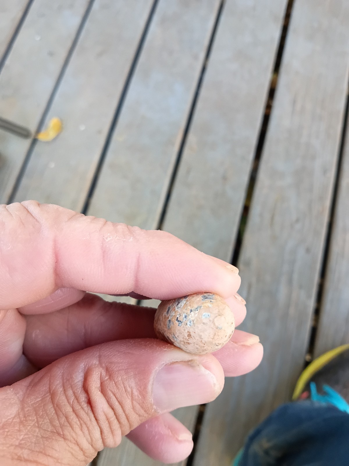 Civil War (1861-65) Original CS Nose Cast .577 ENFIELD Alexandria Louisiana