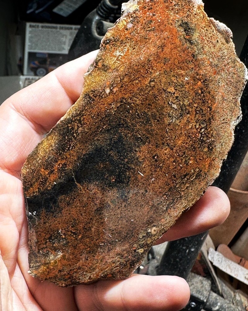 Dinosaur bone rough **hxtled slab.