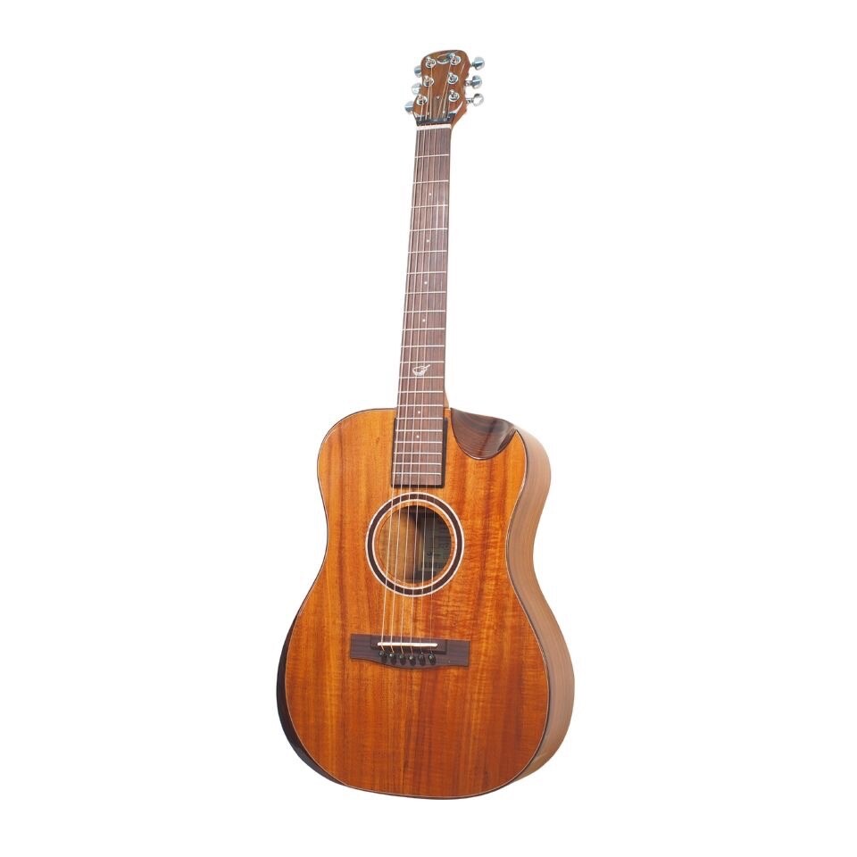 Overhead+ Solid Acacia Koa – OF882C