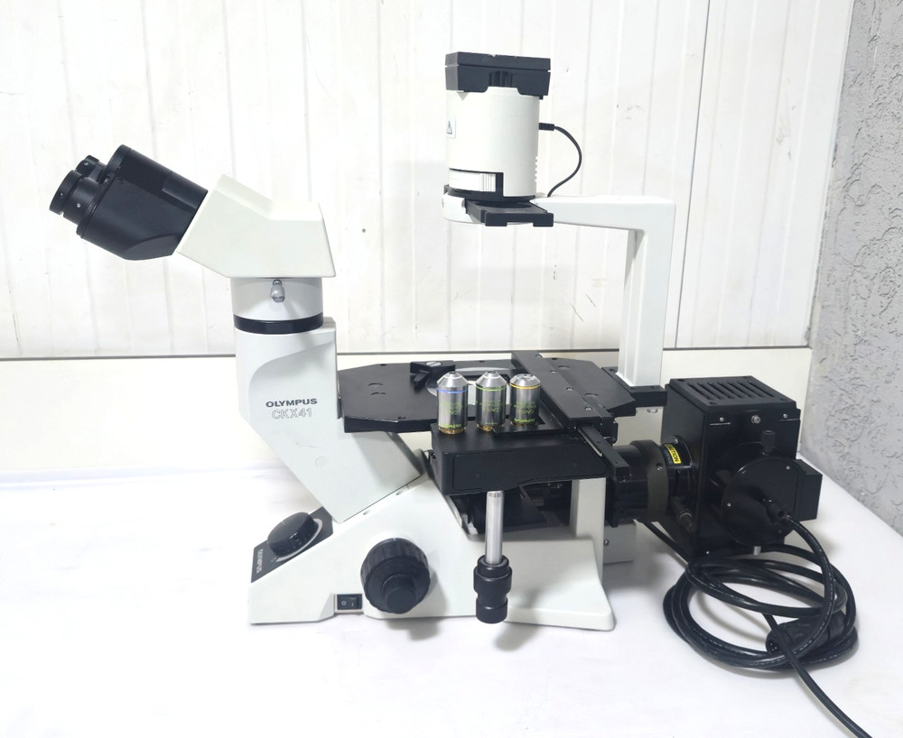 Olympus CKX41 Inverted Fluorescence Phase Contrast Microscope with 3 Objectives
