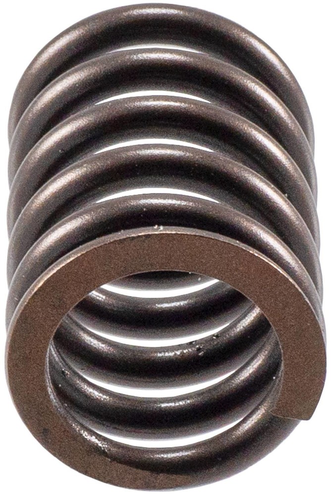 Valve Spring Melling VS800