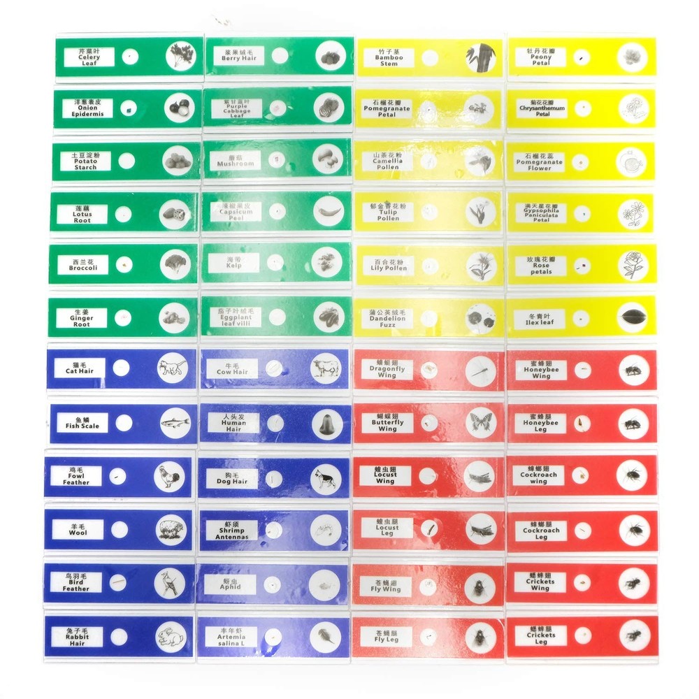 48pcs Prepared Plastic Microscope Slides Biological Specimen with 4 Boxes for...